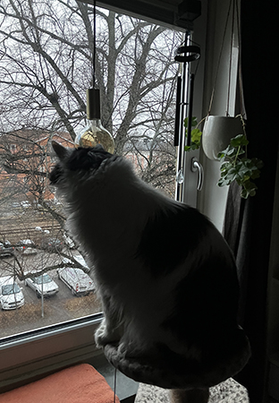 Lucifer spanar genom Pojkrumsfönstret Lucifer spanar genom Pojkrumsfönstret