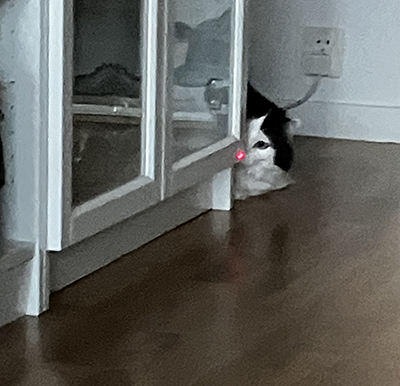 Lucifer smyger på laserpekaren