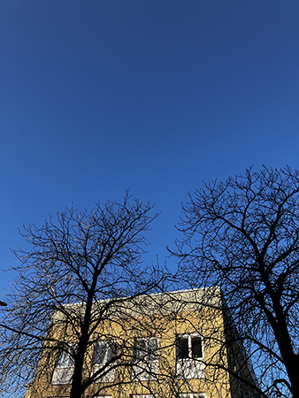 Blå himmel gult hus svarta träd