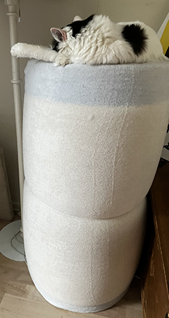 Citrus sover ovanpå ihoprullad madrass