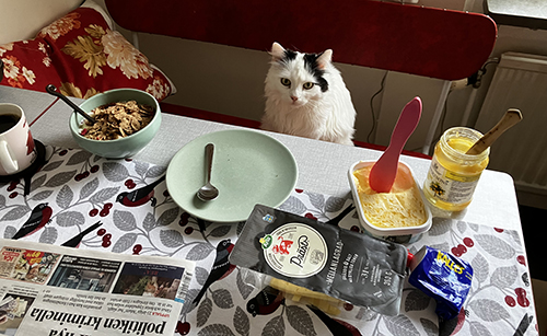 Citrus vid frukostbordet