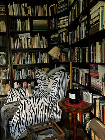 Läshörn i nya Bokrummet med zebrafåtöljen