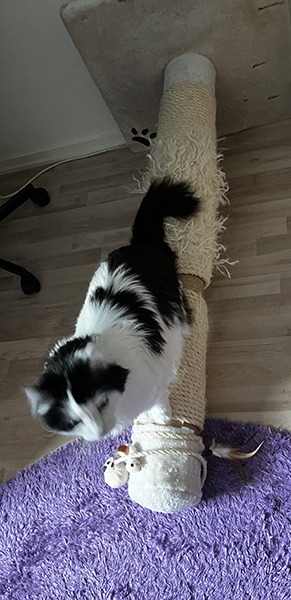 Lucifer ovanpå fälld klöspelare