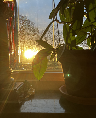 Sol i mitten av januari 2023