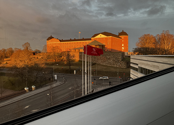 Uppsala slott