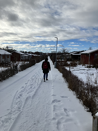 Anna på snöig väg ner till Slottet