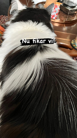 Lucifer på armstödet till min fåtölj