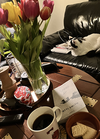 Kvällsfika med katt tulpaner shortbread o boken Apans år