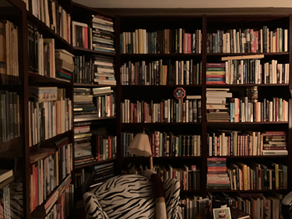 Dagens shelfie 8 feb 2023 fyra bokhyllor och zebrafåtöljen Dagens shelfie 8 feb 2023 fyra bokhyllor och zebrafåtöljen