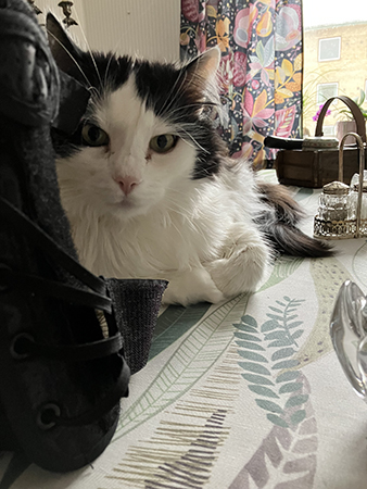 Lucifer vill smaka frukost