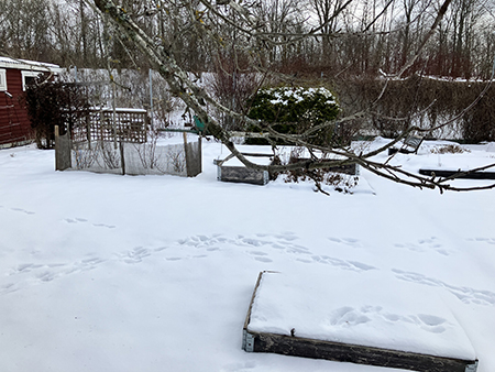 Snöig Slottsträdgård