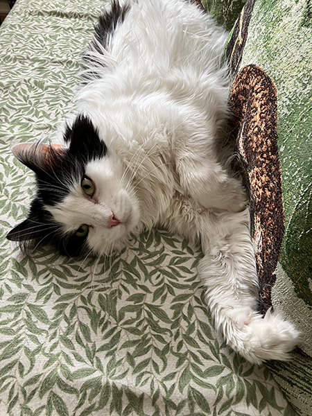 Lucifer på sofflocket