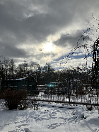Solen bryter igenom över Slottsträdgården