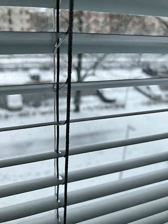 Vinter genom persiennen