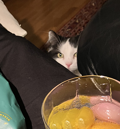 Lucifer tittar fram på min GT