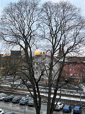 Solbelyst nya Filmstaden