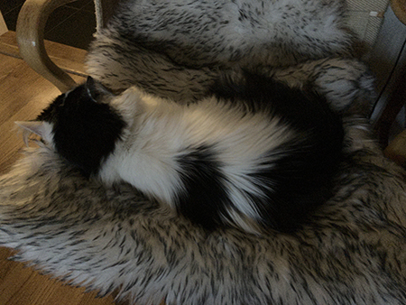 Lucifer på fällen i en Bruno Mathssonfåtölj