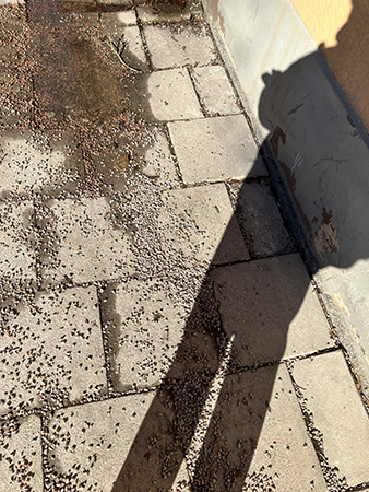 Min skugga på trottoaren