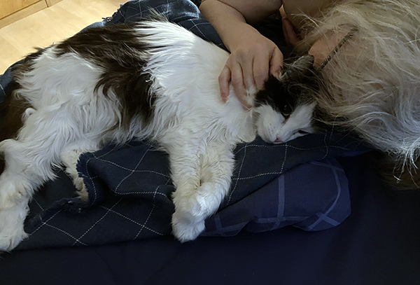 Lucifer och Anna på sängen