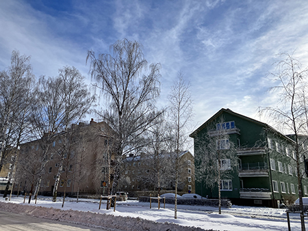 Hus i Höganäsområdet