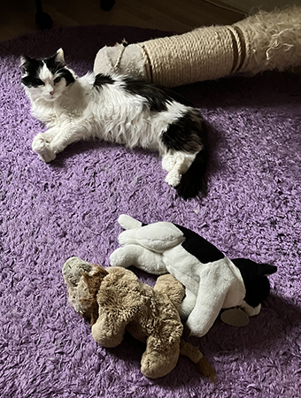 Lucifer med två gosedjur