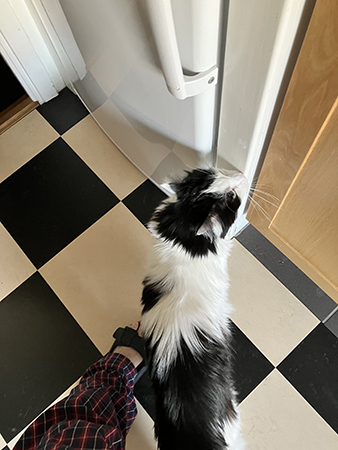 Lucifer vid kyl och frys