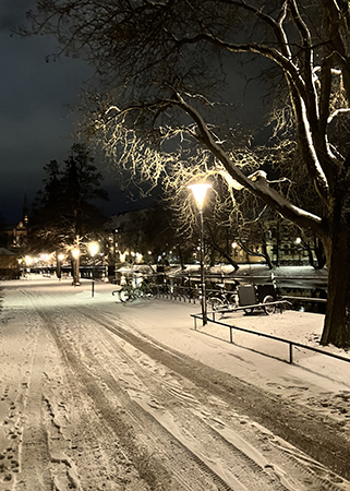 Vinter vid ån nära Haglunds bro