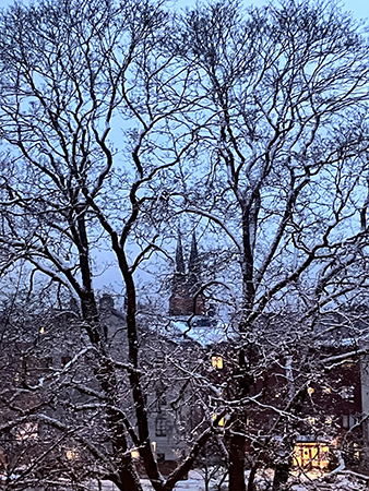 Utsikt genom sovrumsfönstret 5 april 2023