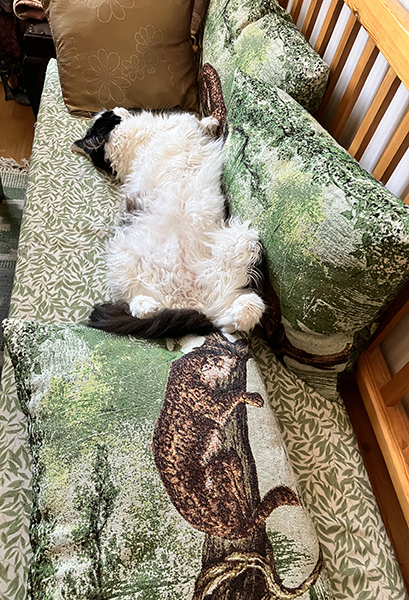 Lucifer utsträckt på sofflocket