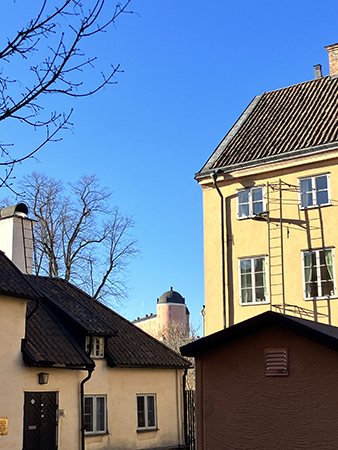 Norra tornet på Uppsala slott mellan hustak och gavlar