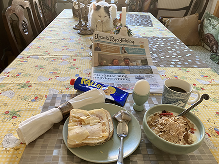 Citrus och jag äter frukost