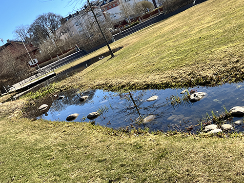 Liten å mellan Blåsenhus och Campus 1477