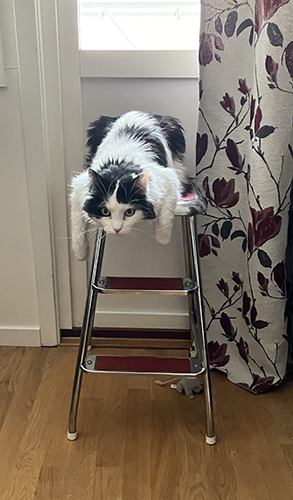 Lucifer på trappstegspallen vid balkongdörren