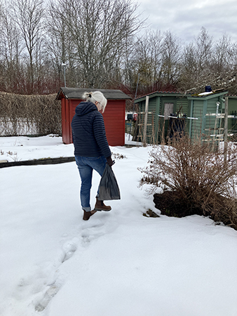 Anna pulsar i snön i Slottsträdgården