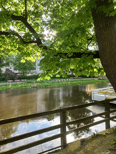 Ån sedd från Walmstedtska gården