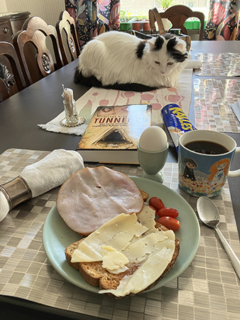 Citrus vid kvällsmaten