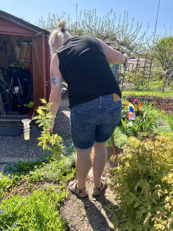 Anna har grävt upp en buske