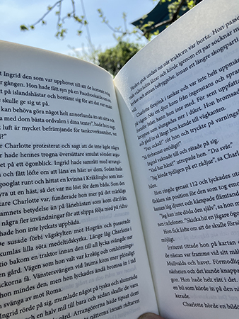 En stunds läsning i en vilstol