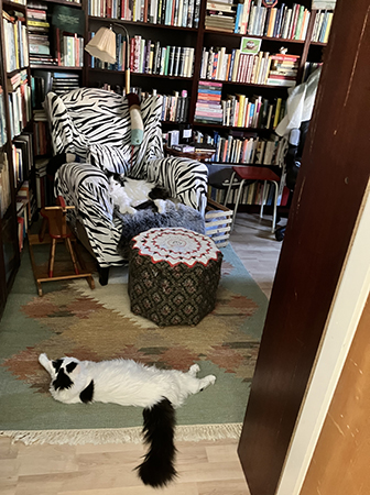 Lucifer o Citrus i Bokrummet