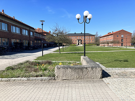 På EBCs innergård Evolutionsbiologiskt centrum