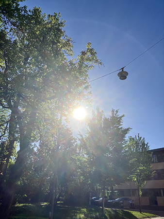 Majsol från Öfre Slottsgatan