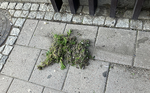 Ogräsrensning på gågatan