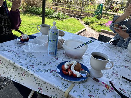 Fika i Slottsträdgården muffins grädde jordgubbar