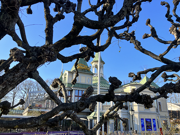 Flustret bakom grenverk