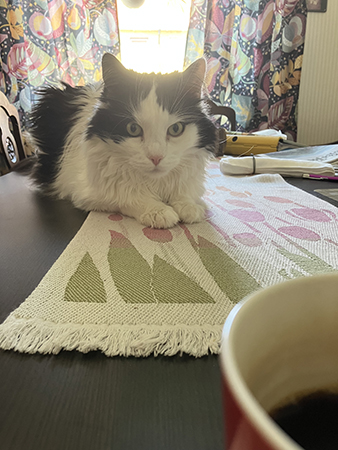 Lucifer på matbordet