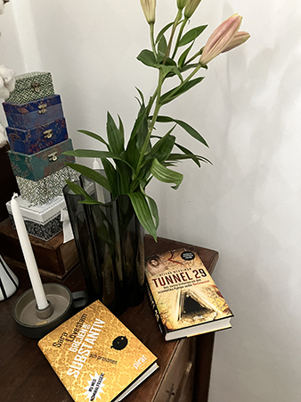 Böckerna Grejen med substantiv och pronomen och Tunnel 29