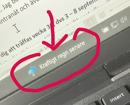 Kraftigt regn senare