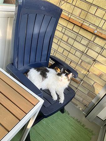 Lucifer i balkongstol på balkongpremiären 15 juni 2023