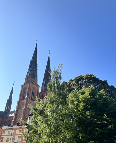 Domkyrkotornen sedda från universitetsparken