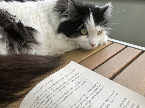 Lucifer på bordet med uppslagen bok